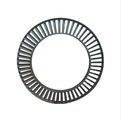 Packing Ring / Spill Strip